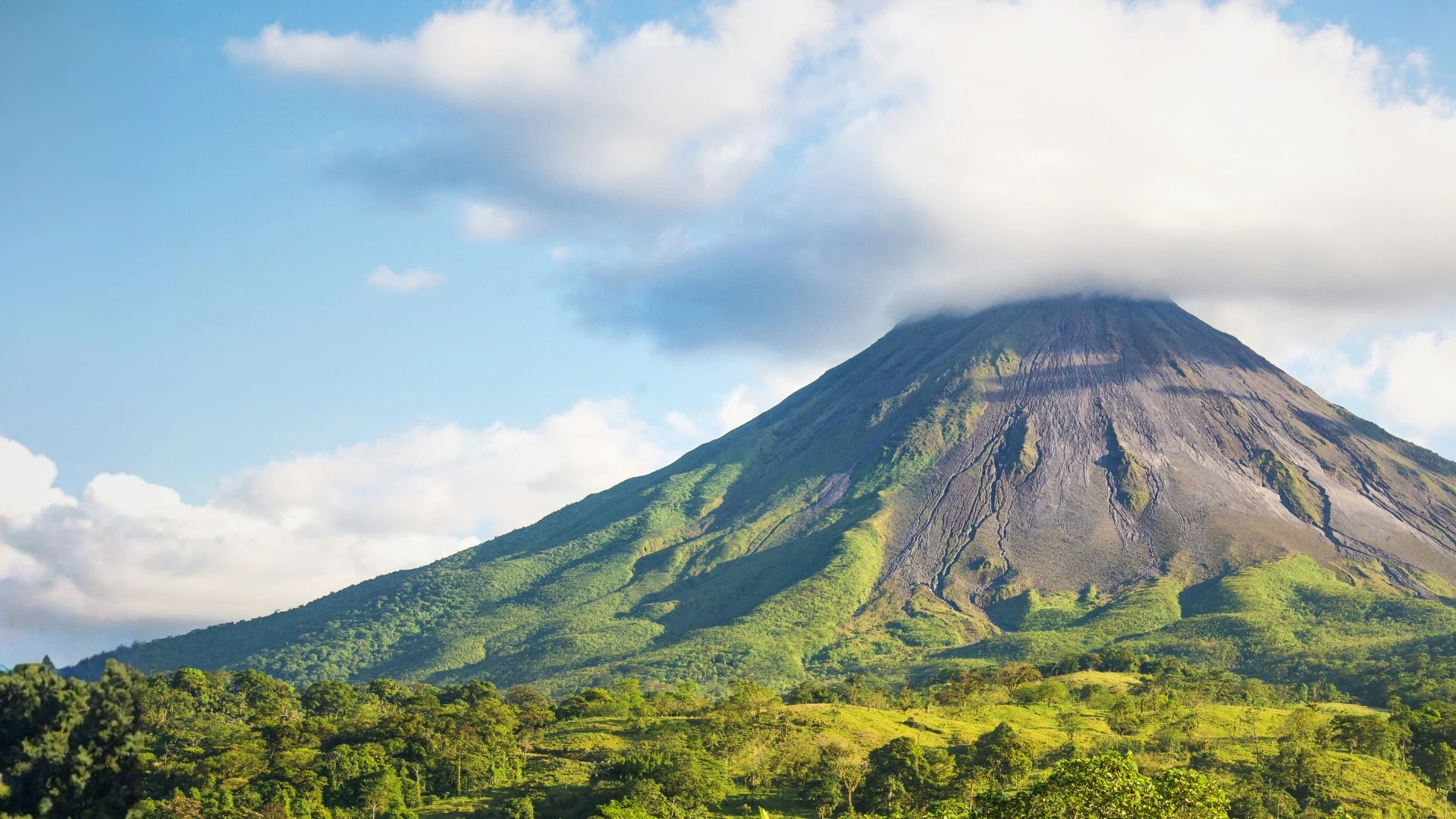 Voyageur admirant une vue sur la mer